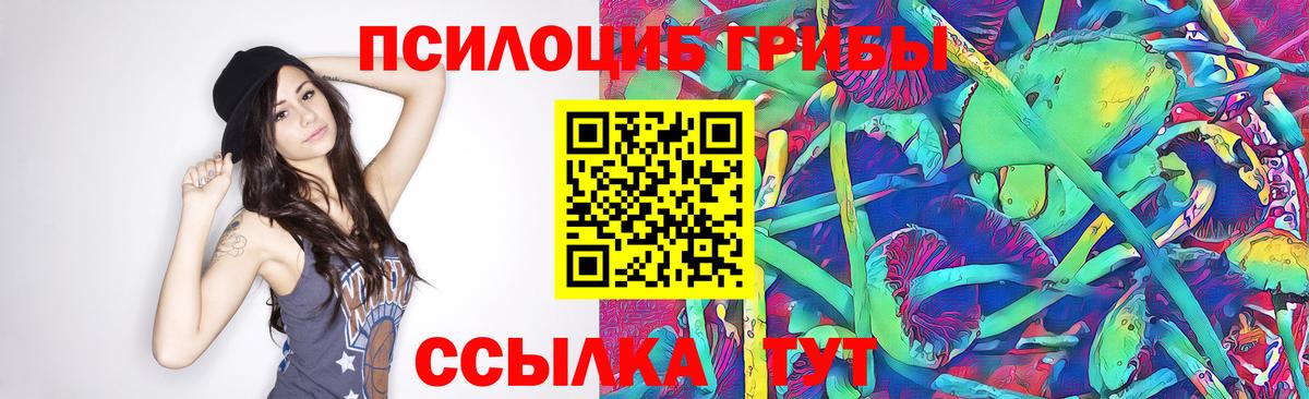Светлоград  Галлюциногенные грибы Cubensis  Вход с VPN  Псилоцибиновые грибы ЛСД 